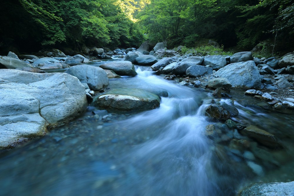 Water for life